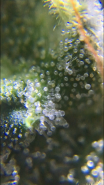 261A0B43-F31A-42A9-837C-34CFABB7D6D7.png