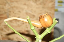 IMG_6546.JPG