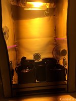 IMG_20200614_230753_626.jpg