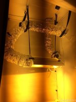 IMG_20200614_230807_047.jpg