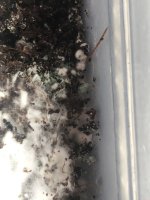 D4D309BD-5EC4-40C5-8D3A-C270AB212BD6.jpeg