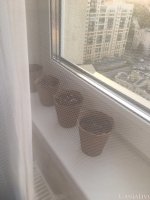 IMG_20200620_010049_361.jpg