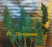 1079303405_IMG_20200619_1812592.jpg.cd4ac4739d5ac8f4dd201ea065c5b844~2.jpg