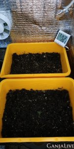 26.06.20 2 день от каски 2.jpg