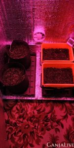 26.06.20 2 день от каски 3.jpg