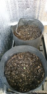 26.06.20 2 день от каски.jpg