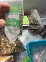 60E394F6-3C62-4CBD-A073-C24AB87665AF.jpeg