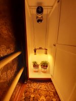20200710_195855.jpg