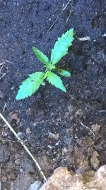 WP_20200712_10_08_57_Pro (2).jpg