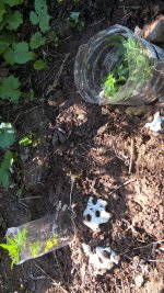 WP_20200712_10_38_43_Pro (2).jpg