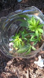 WP_20200712_10_38_59_Pro (2).jpg