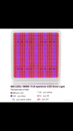 D7EBC113-CAAB-4506-B954-8B3E316CFFC0.png