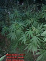 20200721_100900.jpg