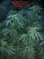 20200721_100659.jpg