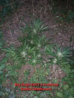 20200721_100502.jpg