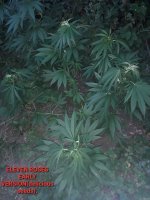 20200721_100428.jpg