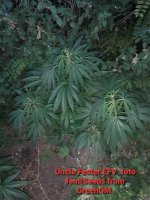 20200721_100303.jpg