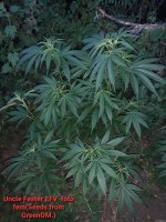20200721_100231.jpg