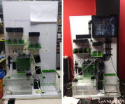 Альфа 1 процесс 2.png