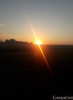 20200731_091413.jpg