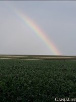 20200731_091428.jpg