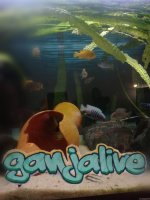 IMG_20200731_143011.jpg