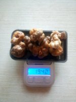 склеры пси трюфеля.jpg