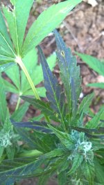 WP_20200806_20_02_54_Pro.jpg