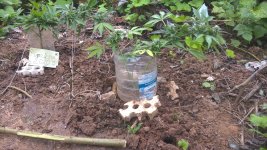 WP_20200809_13_06_40_Pro.jpg