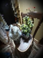 20200813_084807.jpg