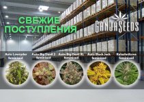 1 Склад 540х385.jpg