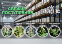 2 Склад 540х385.jpg