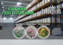 3 Склад 540х385.jpg