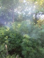 IMG_20200816_084123.jpg