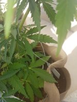 20200821_160837.jpg