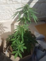 20200821_160542.jpg