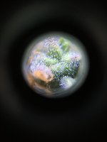 966906D0-A972-4CAA-9248-EB7BA9871688.jpeg