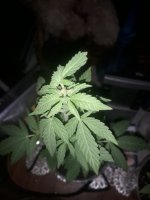 20200829_022224.jpg