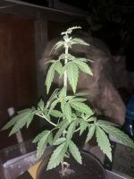 20200829_022538.jpg