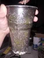 20200829_025342.jpg