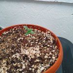 IMG_20200901_180634.jpg