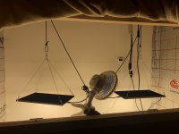 35618B69-EEBB-49EC-8F48-5E85784D4C82.jpeg
