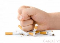 tabac.jpg
