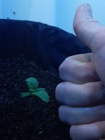 20200925_211736.jpg 20200925_211736.jpg