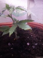 IMG_20200929_164756_045.jpg