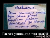 1601239455_1585550714_demki-7.jpg