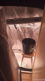 photo_2020-07-26_19-30-09 (2).jpg