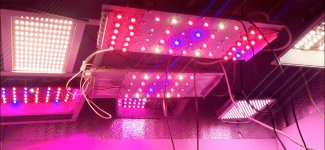 Screenshot_20201005-135259_Video Player.jpg