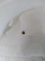 IMG_20201003_182715.jpg