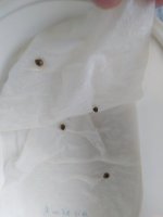 IMG_20201003_182711.jpg
